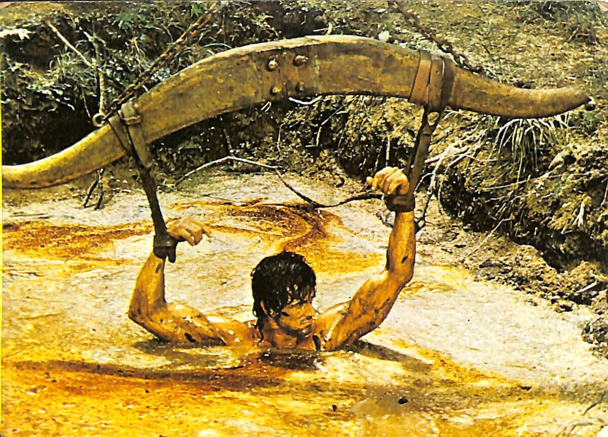 Sylvester Stallone Kartpostal (Küçük Boy) KRT24008 - 1