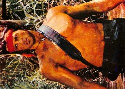 Sylvester Stallone Küçük Boy Kartpostal (15x10 cm) KRT12951 - Gökçekoleksiyon