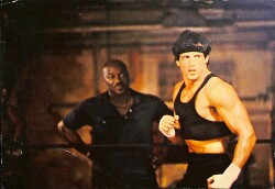 Sylvester Stallone Küçük Boy Kartpostal (15x10 cm) KRT12974 - Gökçekoleksiyon