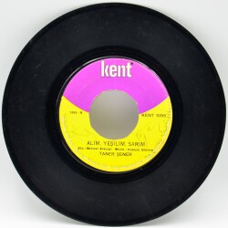 Taner Şener - Akşamdan Sabaha Kadar PLAK (10/7) PLK2354 - 2