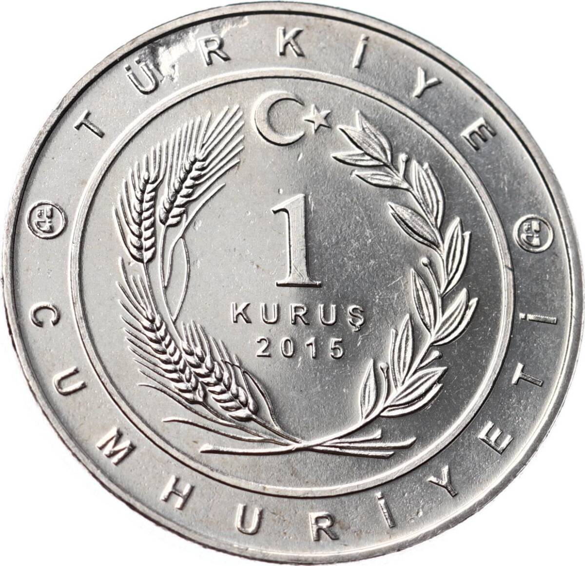 Tarihte 16 Büyük Türk Devletleri Serisi ' Ak Hun İmparatorluğu ' 1 Kuruş Hatıra Parası (2015) - ÇİL TCH472 - 2
