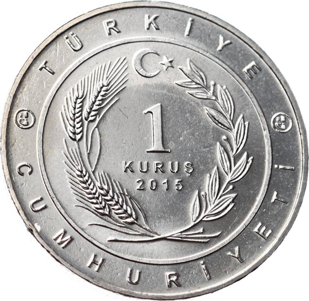 Tarihte 16 Büyük Türk Devletleri Serisi ' Avar İmparatorluğu ' 1 Kuruş Hatıra Parası (2015) - ÇİL TCH474 - 2
