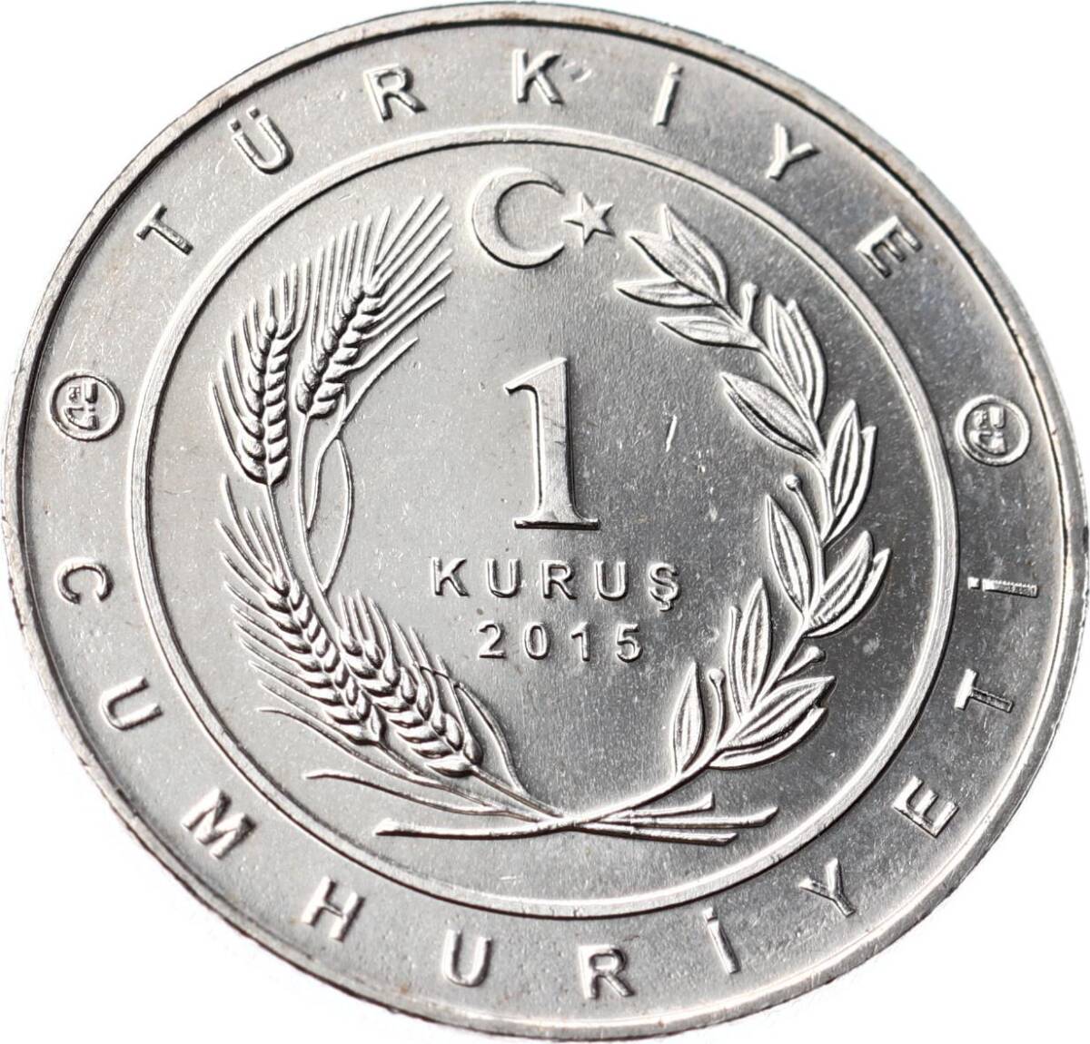 Tarihte 16 Büyük Türk Devletleri Serisi ' Avrupa Hun İmparatorluğu ' 1 Kuruş Hatıra Parası (2015) - ÇİL TCH468 - 2