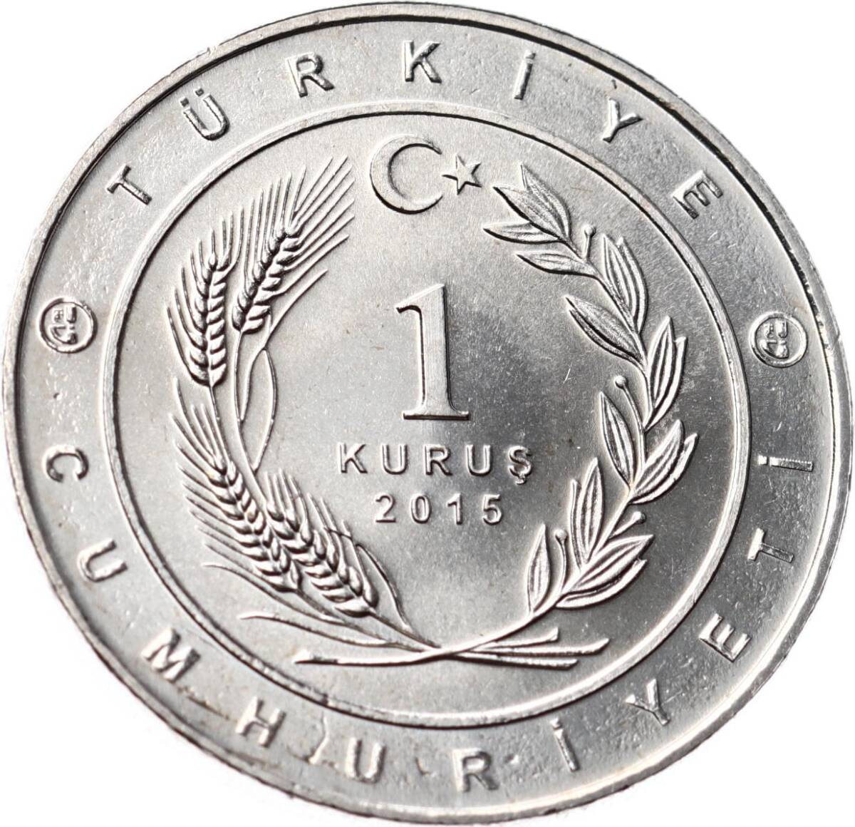 Tarihte 16 Büyük Türk Devletleri Serisi ' Batı Hun İmparatorluğu ' 1 Kuruş Hatıra Parası (2015) - ÇİL TCH470 - 2