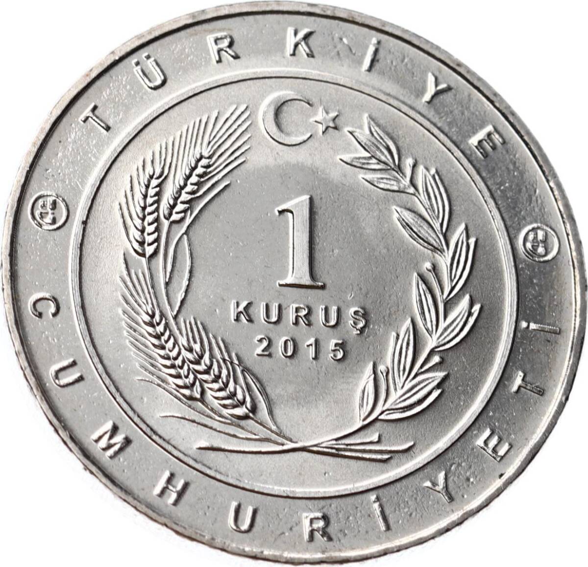 Tarihte 16 Büyük Türk Devletleri Serisi ' Gazneliler İmparatorluğu ' 1 Kuruş Hatıra Parası (2015) - ÇİL TCH477 - 2