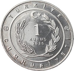 Tarihte 16 Büyük Türk Devletleri Serisi 'Göktürk İmparatorluğu ' 1 Kuruş Hatıra Parası (2015) - ÇİL TCH473 - 2