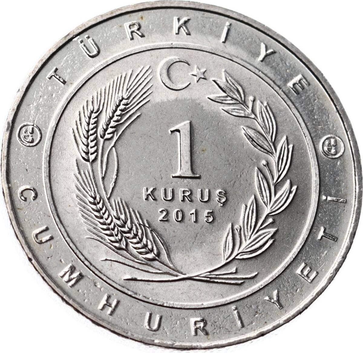 Tarihte 16 Büyük Türk Devletleri Serisi ' Karahanlılar İmparatorluğu ' 1 Kuruş Hatıra Parası (2015) - ÇİL TCH476 - 2