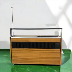 TELEFUNKEN ATLANTA 101 Antika Radyo RDY48 - 4