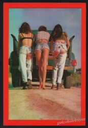 Tematik Kartpostal KRT3808 - Gökçekoleksiyon