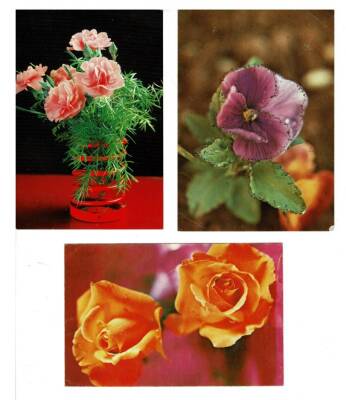 Tematik Üçlü Çiçek Kartpostal KRT7846 - 1