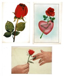 Tematik Üçlü Çiçek Kartpostal KRT7849 - Gökçekoleksiyon