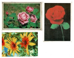 Tematik Üçlü Çiçek Kartpostal KRT7850 - Gökçekoleksiyon