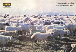 Tercüman Çocuk Koyun Temalı Posteri KRT23953 - Gökçekoleksiyon