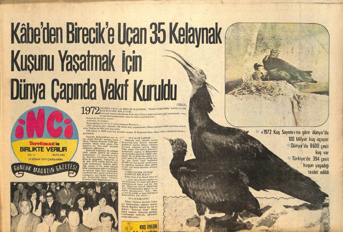 Tercüman Gazetesi İnci Eki 18 Nisan 1973 - Emel Sayın'da Mısırlılarla Film Anlaşması İmzaladı - Tarık Akan, Ömer Şerif'in Karısı İle Film Çevirecek GZ145616 - 1