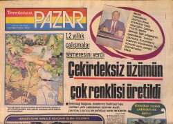 Tercüman Gazetesi Pazar Eki 23 Eylül 1984 - Ferdi Tayfur Biraz Kendini Biraz Da Şen Saz'ın Bülbülünü Anlattı: Necla İle Beraberiz Gerisi Hikaye GZ156196 - 1