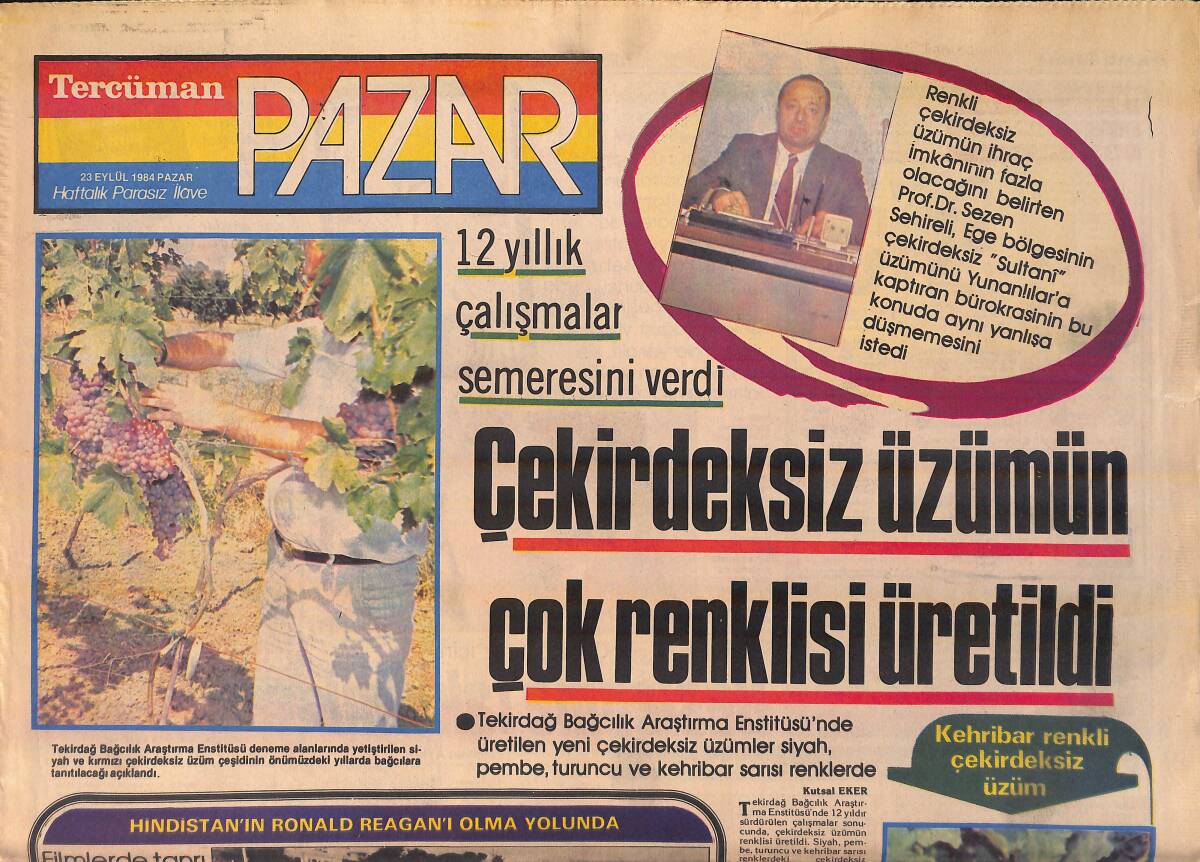 Tercüman Gazetesi Pazar Eki 23 Eylül 1984 - Ferdi Tayfur Biraz Kendini Biraz Da Şen Saz'ın Bülbülünü Anlattı: Necla İle Beraberiz Gerisi Hikaye GZ156196 - 1