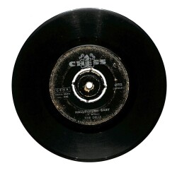 The Dells - Can Sing A Rainbow & Love Is Blue Hallelujah Baby PLAK (106.5) PLK22271 - 2