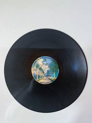 The Rezillos - Rezillos Can`t Stand LP Plak (108.5) PLK12954 - 2