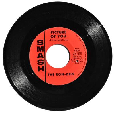The Ron-Dels - Lose Your Money (108) PLK10515 - 2