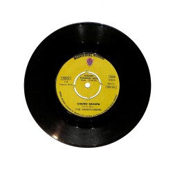 The Sand Flowers - Pasific Grapefruit / Casino Sahara PLAK (10/7.5) PLK25775 - 1