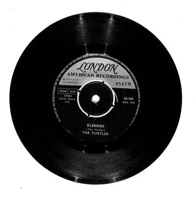 The Turtles - ElenoreSurfer Dan (107) PLK16731 - 1