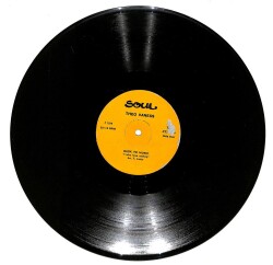 Theo Vaness – Back To Music LP (107) PLK17162 - 1