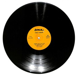 Theo Vaness – Back To Music LP (107) PLK17162 - 2