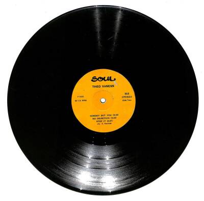 Theo Vaness – Back To Music LP (107) PLK17162 - 2