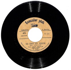 İsmail Kurt – Bir Demet Gül Vereyim / Bu Mudur Sevmek PLAK (10/7) PLK24840 - Gökçekoleksiyon