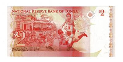 Tonga 2 Paanga 2009 ÇİL YKP7616 - 2