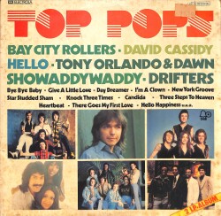 Top Pops 2 LP Albüm LP PLAK (Açıklamayı Okuyunuz) PLK26718 - 1