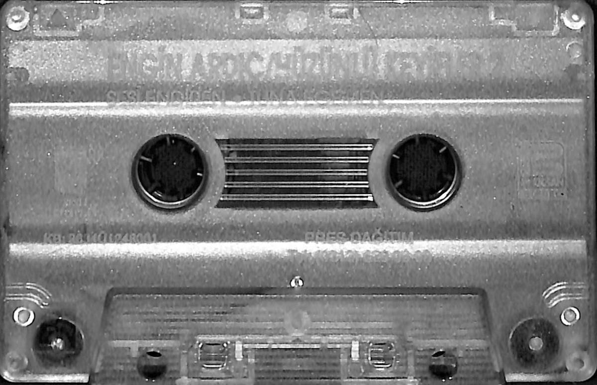 Tuna Egemen - Engin Ardıç / Hüzünlü Keyifler 2 Kaset (İkinci El) KST27821 - 2