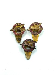 Türk Hava Kurumu Eski Papuçlu Yaka Rozeti 3 Adet Lot RZT1599 - Gökçekoleksiyon