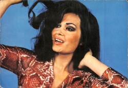 Türkan Şoray Kartpostal (Küçük Boy) KRT8356 - Gökçekoleksiyon