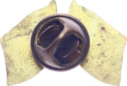 Türkiye Japonya Dostluğu Rozet RZT1705 - 2