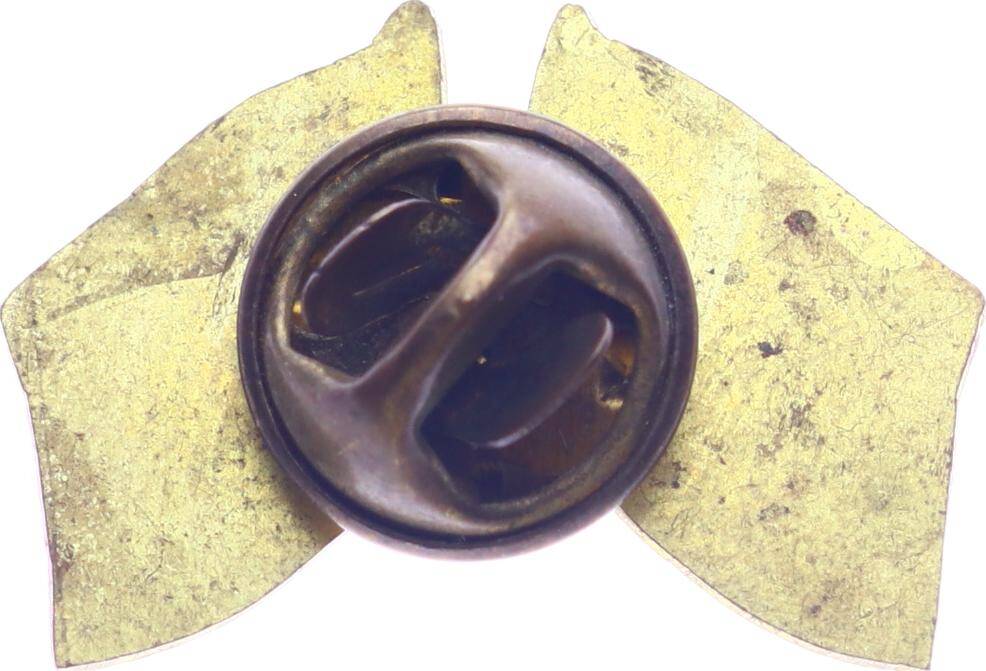 Türkiye Japonya Dostluğu Rozet RZT1705 - 2