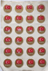 Türkiye Yazılı Bayrak Temalı Eski Çıkartma Aksesuarı *2.6 cm* ( 24 Adet) AKS1420 - 2