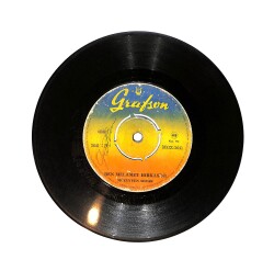 Müzeyyen Senar - Ben Melamet Hırkasını / Garibin Derdinden Garipler Anlar PLAK (10/6.5) PLK25664 - Gökçekoleksiyon