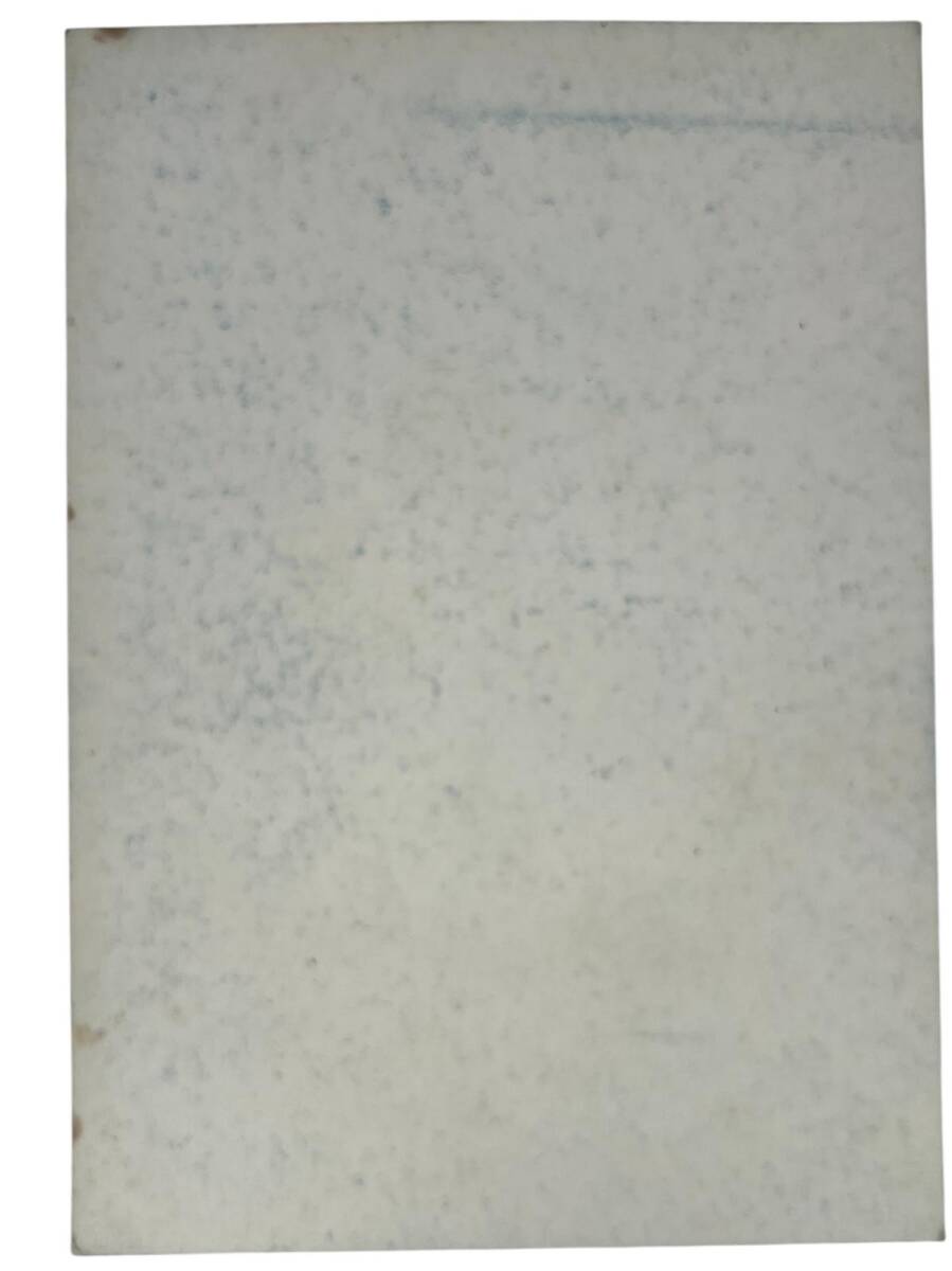 Ülkü Ocakları Bayrağı Tanrı Türkü Korusun 15x10cm Kartpostal KRT23584 - 2