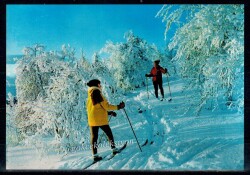 Uludağ Bursa dan Bir Karer Kartpostal KRT4146 - Gökçekoleksiyon