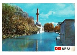 Urfa Halil Rahman Müzesi Kartposta KRT3742 - Gökçekoleksiyon