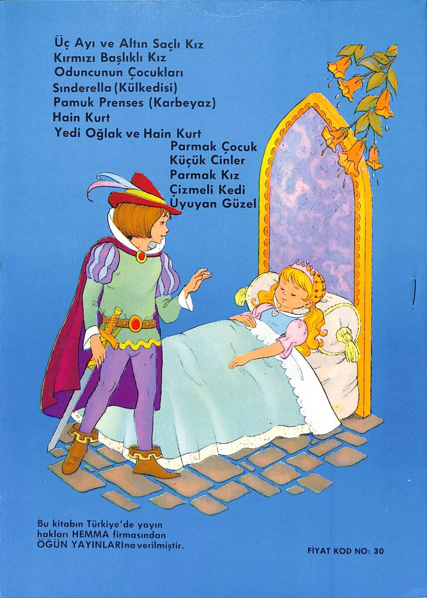 Uyuyan Güzel NDR100128 - 3