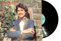 Vahdet Vural - Vahdet Vural 2 LP PLAK (10/6.5) PLK26493 - 1