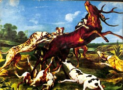 Vahşi Doğa Kartpostal (Küçük Boy) KRT22785 - Gökçekoleksiyon