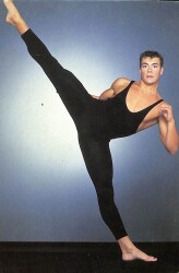 Van Damme Kartpostal KRT17319 - Gökçekoleksiyon