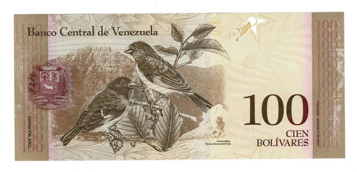 Venezuela 100 Bolivares 2013 ÇİL YKP6805 - 2
