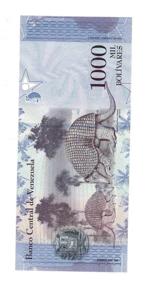 Venezuela 1000 Bolivares 2017 ÇİL YKP8862 - 2