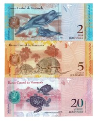 Venezuela 2/5/20 Bolivares Kağıt Para Seti ÇİL YKP8316 - 2
