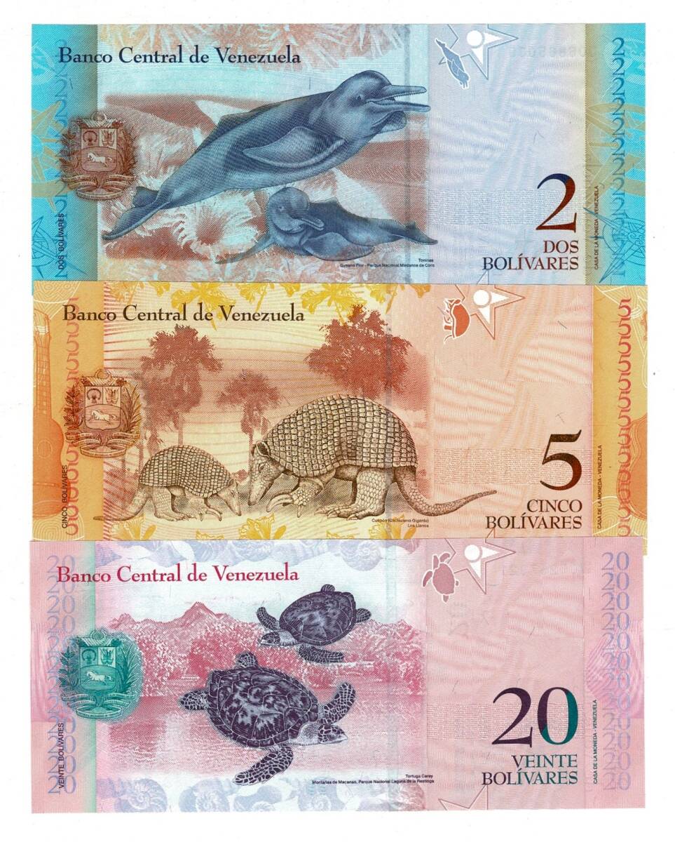 Venezuela 2/5/20 Bolivares Kağıt Para Seti ÇİL YKP8316 - 2