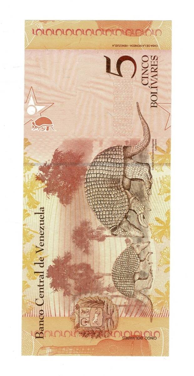 Venezuela 5 Bolivares 2007 - ÇİL YKP8956 - 2